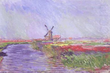 Champ de Tulipes, Claude Monet
